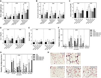 Lactic Acid Bacteria Strains Differently Modulate Gut Microbiota and Metabolic and Immunological Parameters in High-Fat Diet-Fed Mice